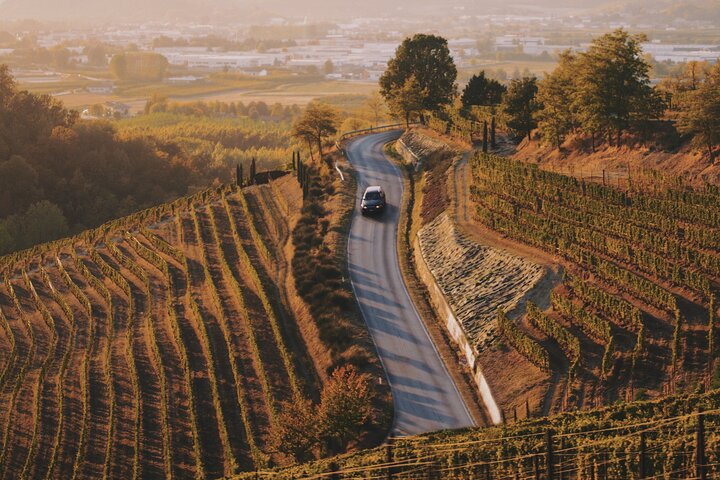 6-uur durende privé luxe SUV-wijntour in Napa of Sonoma Valley