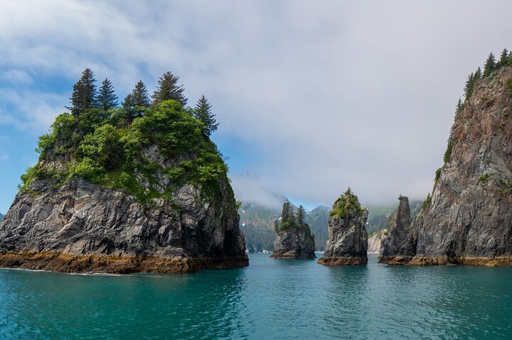 Kenai Fjords und Resurrection Bay – halbtägige Bootstour mit Tierbeobachtung