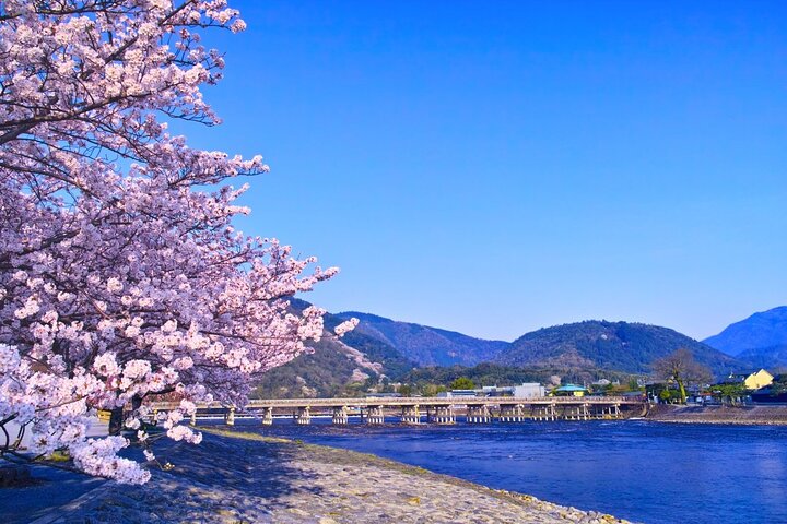 Från Kyoto / Osaka : Kyoto måste-se platser och Nara Park Endagstur