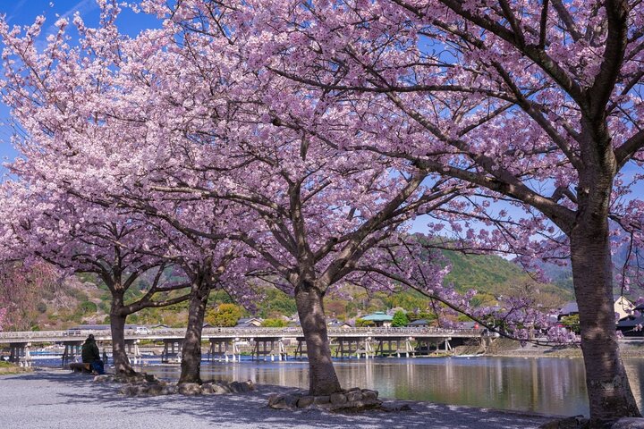 Från Kyoto / Osaka : Kyoto måste-se platser och Nara Park Endagstur