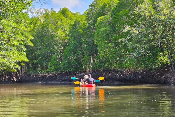 Halvdags mangrove-tur med kajakk eller langhalebåt