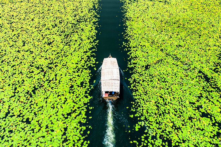 Skadar Lake National Park Guidad båttur med träbåt