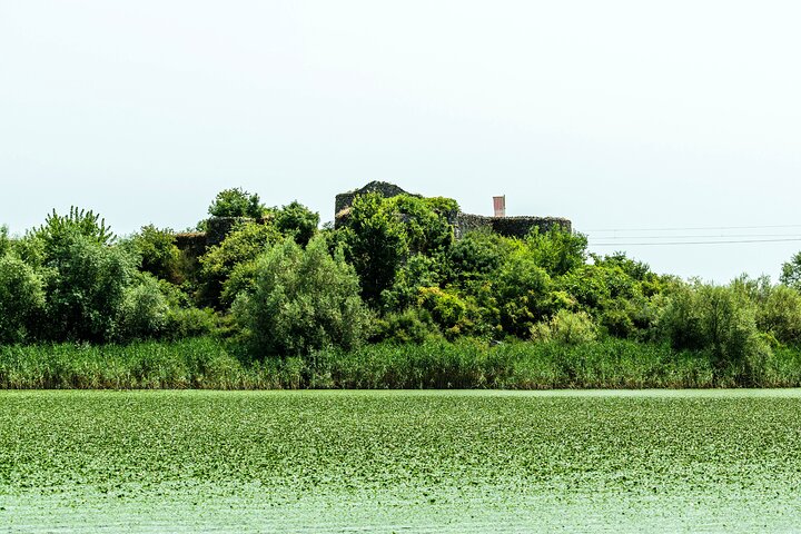 Skadar Lake National Park Guidad båttur med träbåt
