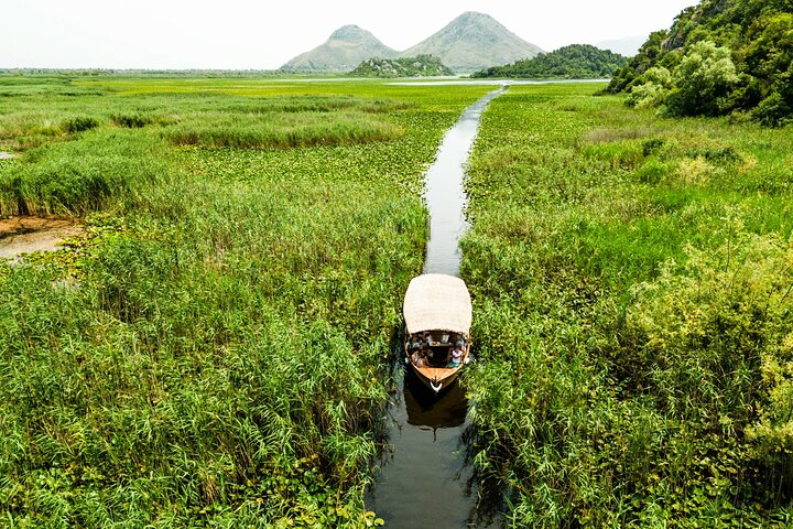 Skadar Lake Nationalpark : Geführte Bootstour zum Kloster Kom