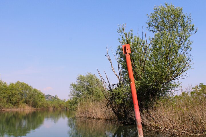Privat tur i Skadar Lake National Park med træbåd og vin