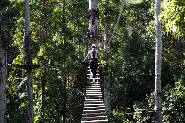 Hotéis perto de Tamborine Mountain High Ropes and Zipline Adventure Park