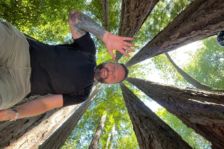 Redwoods of Marin und Mt. Tamalpais-Rundgang mit lokalem Guide