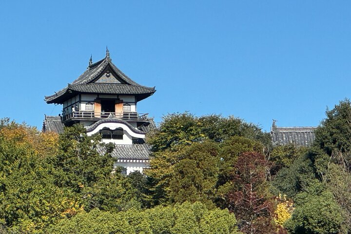 Nagoya: Saker att göra i närheten av National Treasure Inuyama Castle & Tea Room