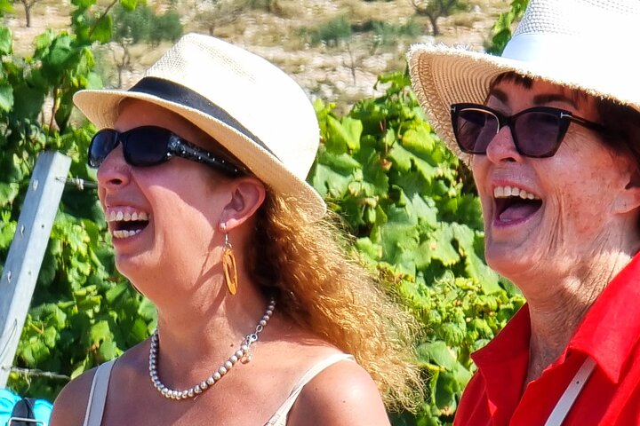 Korcula Buggy (Offizielle) Safari Tour - Lokales Essen & Weinprobe