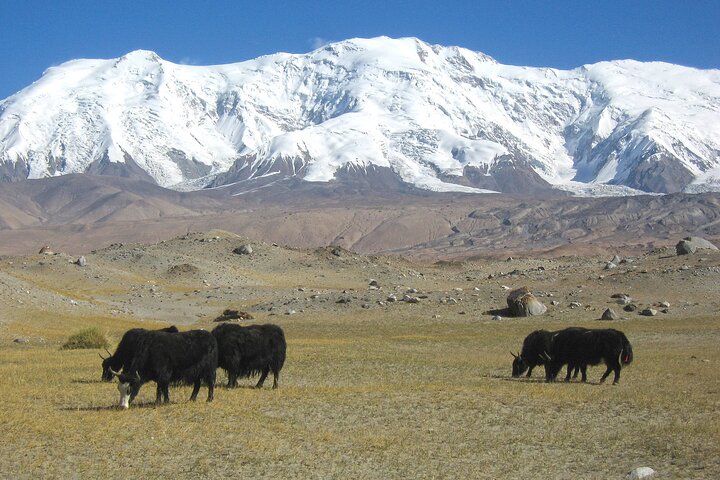 2-dages tur til Tashkorgan med Baisha Lake og Karakul Lake