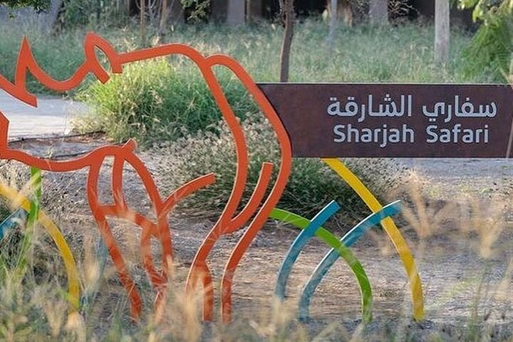 Sharjah Safari: Une aventure faunique pas comme les autres