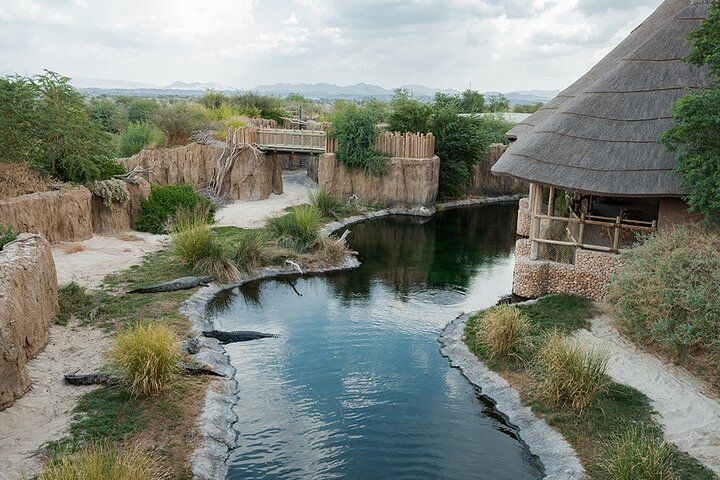 Sharjah Safari: Une aventure faunique pas comme les autres
