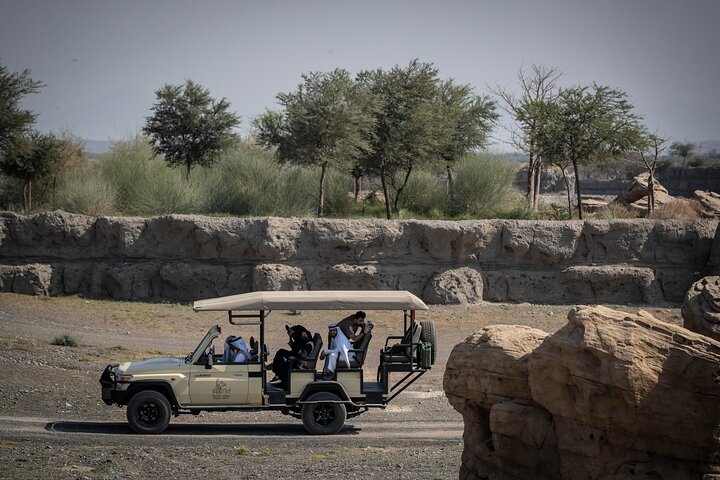 Sharjah Safari: Une aventure faunique pas comme les autres