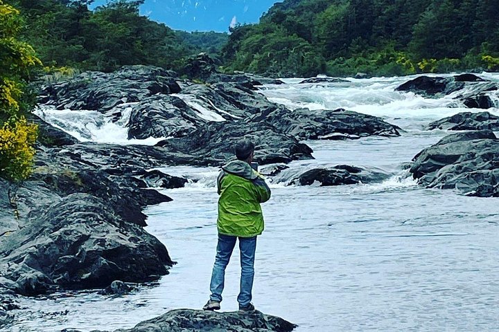 Osorno Volcano e National Park Shore Tour para cruzeiros