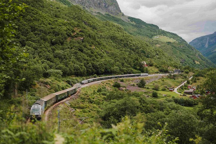 Visite guidée de Viking Village, croisière Nærøyfjorden & Flåm Railway