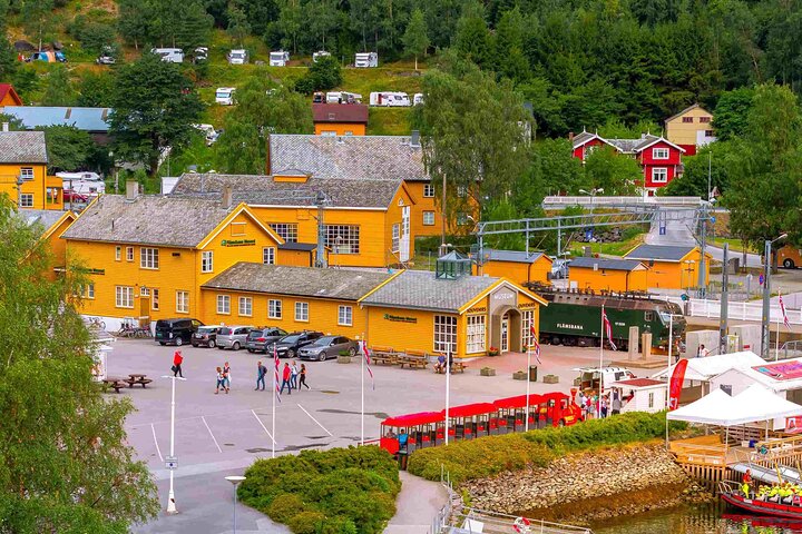 Visite guidée de Viking Village, croisière Nærøyfjorden & Flåm Railway