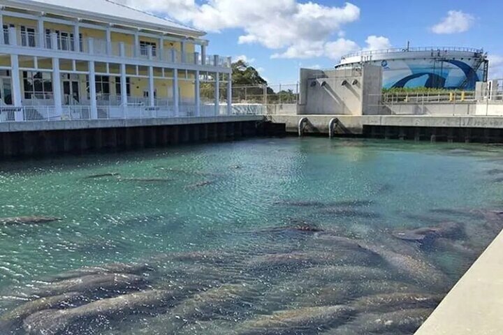 West Palm Beach Privé boottocht en tour met een kapitein