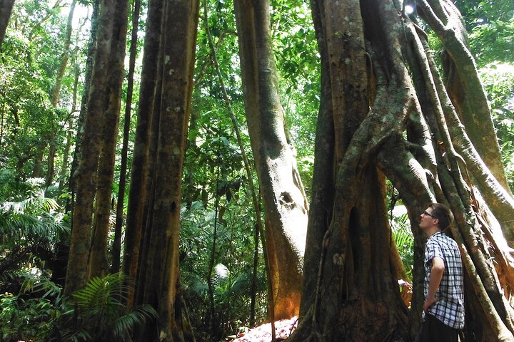 Experiência da selva: Excursão de 1 dia em Nam Ha NPA