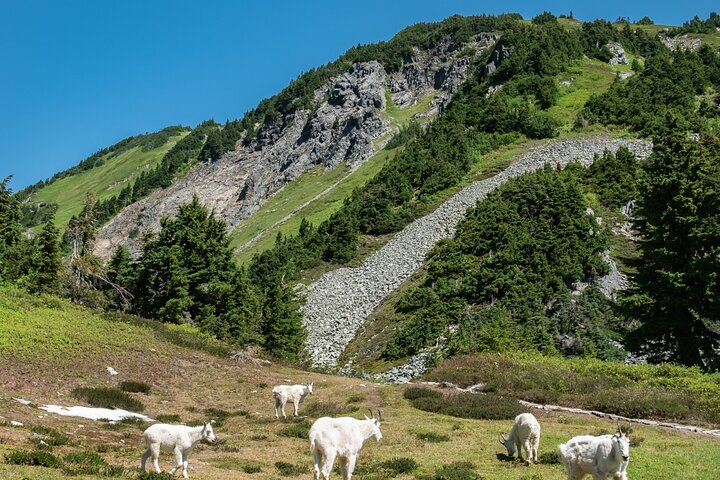 Tour de audio autoguiado por las Cascadas del Norte