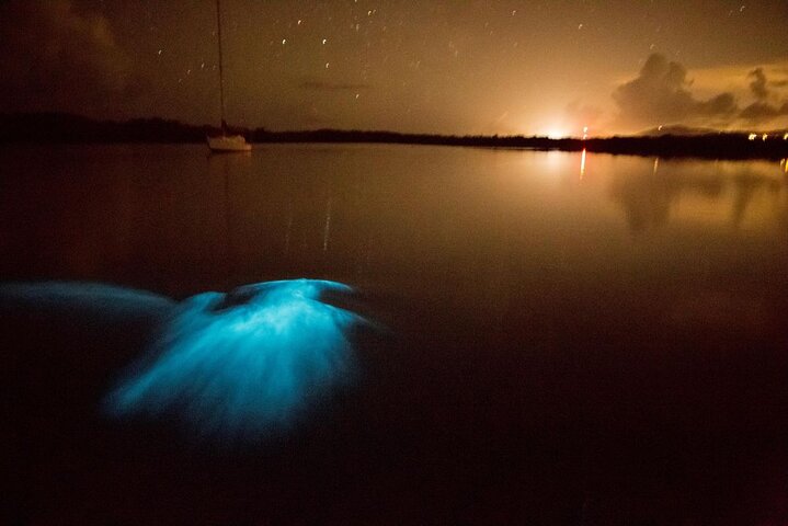 Oförglömlig En Dag Bioluminescent Kajak Äventyr i Vieques