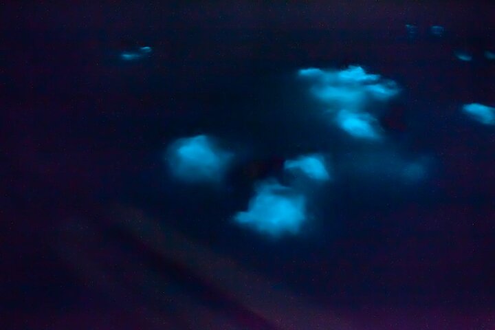 Oförglömlig En Dag Bioluminescent Kajak Äventyr i Vieques