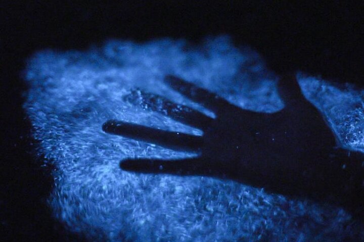 Oförglömlig En Dag Bioluminescent Kajak Äventyr i Vieques