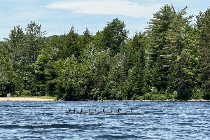 Pataugeoire autoguidée du lac Tarleton