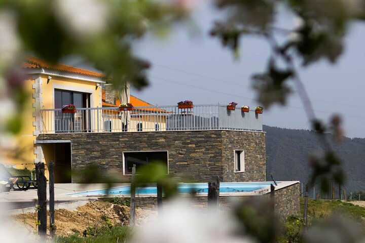 Volledige dag Douro-tour met wijnproeverij en lunch