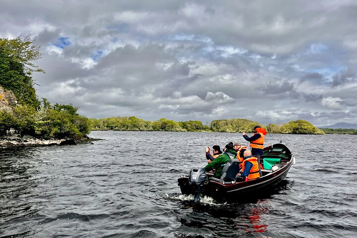 Killarney nasjonalpark guidet privat helgedag fototur