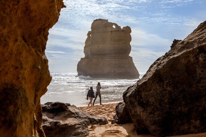 Great Ocean Road Eco Tour en petit groupe au départ de Melbourne