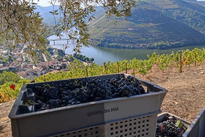 Tour della Valle del Douro Pinhao Quinta da Foz e degustazione di 5 vini