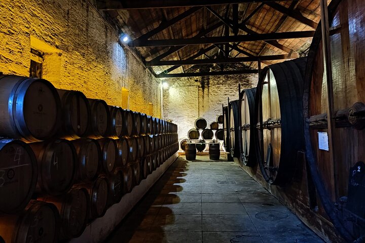 Tour della Valle del Douro Pinhao Quinta da Foz e degustazione di 5 vini