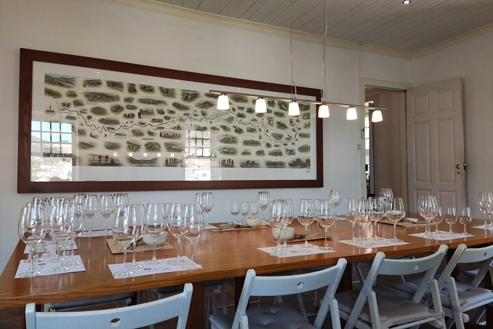 Tour della Valle del Douro Pinhao Quinta da Foz e degustazione di 5 vini