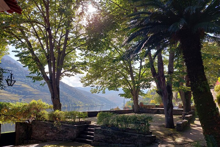 Tour della Valle del Douro Pinhao Quinta da Foz e degustazione di 5 vini