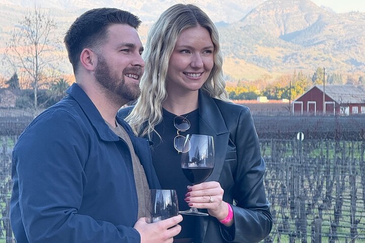 Tour privado de napa o vino de Sonoma: su día, totalmente planificado