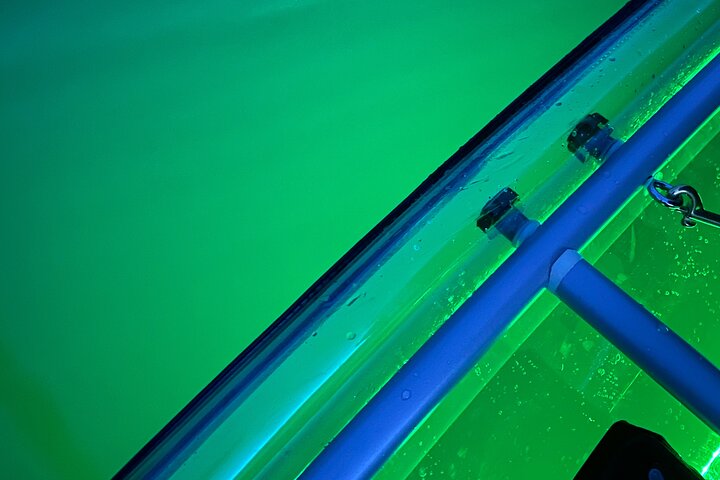 Sunset LED Clear Kayak Rentals pour Glacier Park