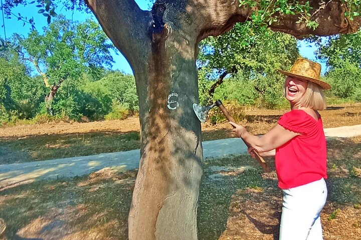 Tour privado de los corchos y las chumberas: visita privada a las fincas de Pepe Aromas