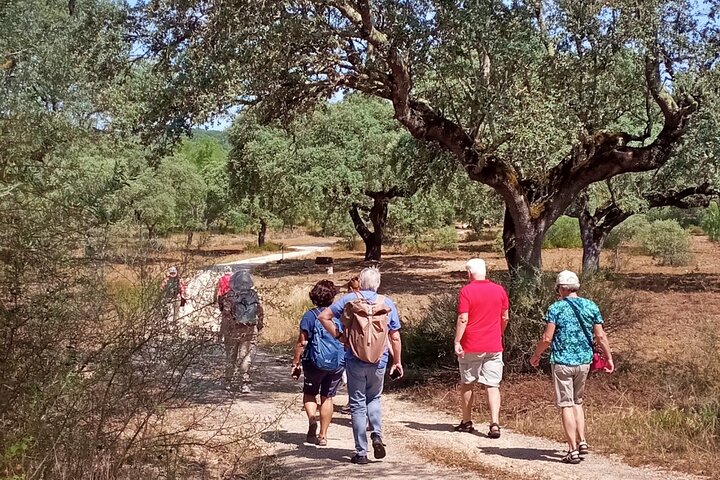Tour privado de los corchos y las chumberas: visita privada a las fincas de Pepe Aromas