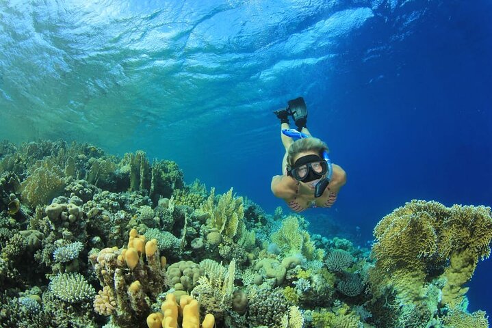 Paseo en barco por Marsa Mubarak con tortugas y dugongos desde Marsa Alam