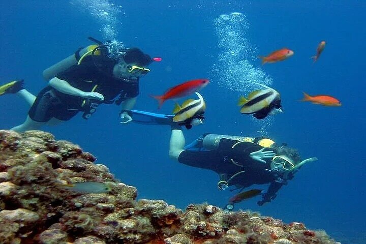 Paseo en barco por Marsa Mubarak con tortugas y dugongos desde Marsa Alam