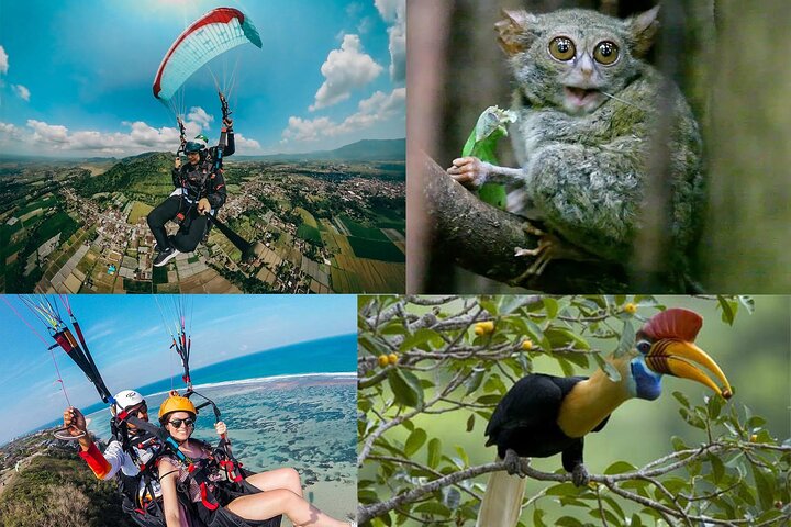 Parapente y parque natural de Tangkoko, incluido almuerzo