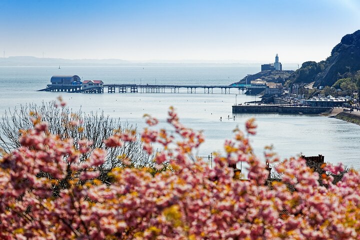 Cardiff : tour di un giorno della Costa d'Oro di Gower, Maritime & Mumbles