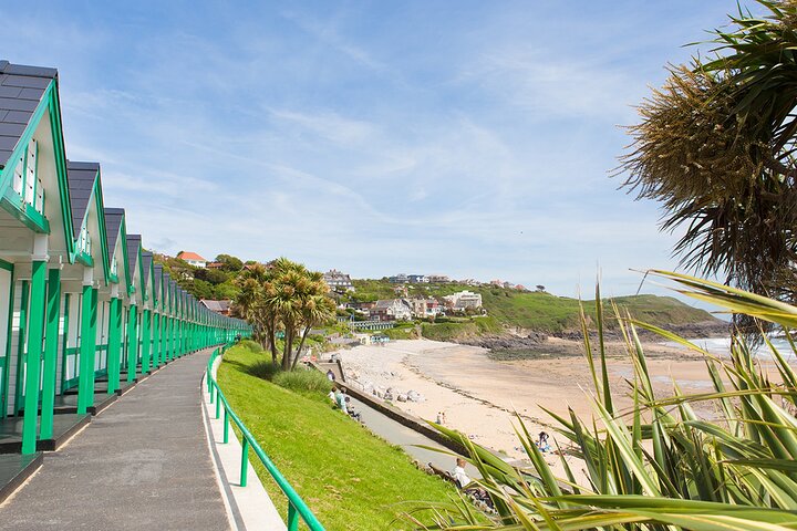 Cardiff : tour di un giorno della Costa d'Oro di Gower, Maritime & Mumbles
