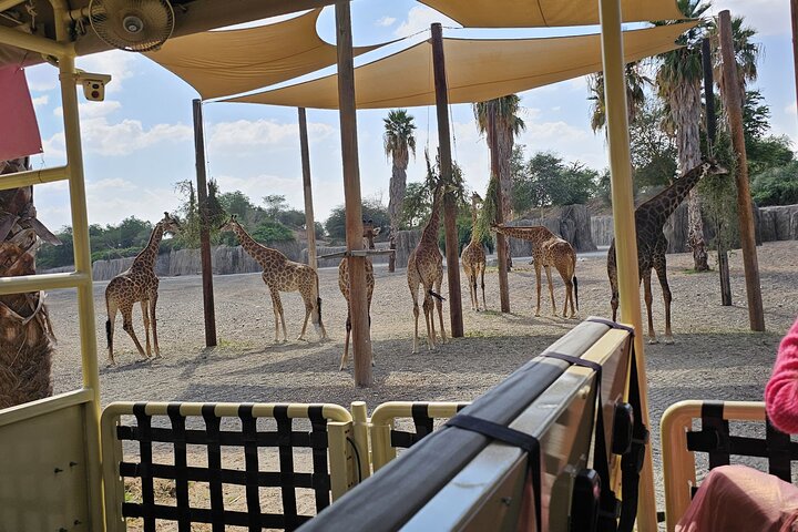 Sharjah Safari: Une aventure faunique pas comme les autres