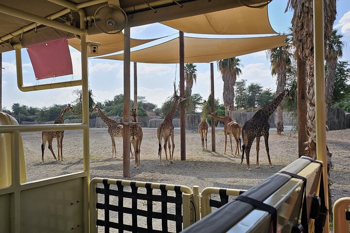 Sharjah Safari: Une aventure faunique pas comme les autres