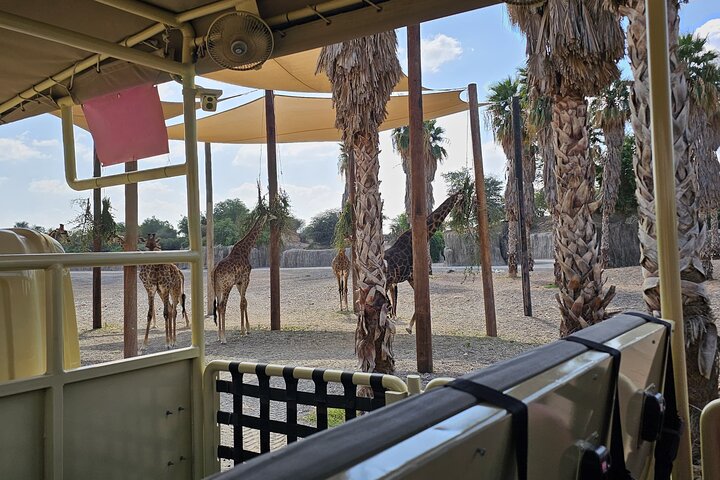 Sharjah Safari: Une aventure faunique pas comme les autres
