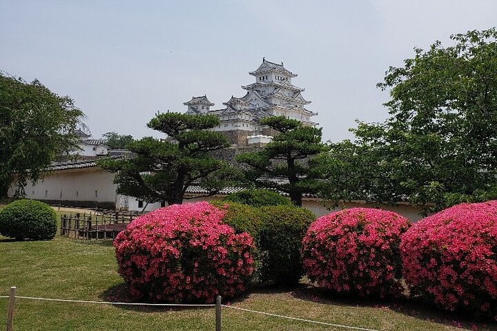 Visite privée d'histoire et de culture de 2,5 heures au château de Himeji