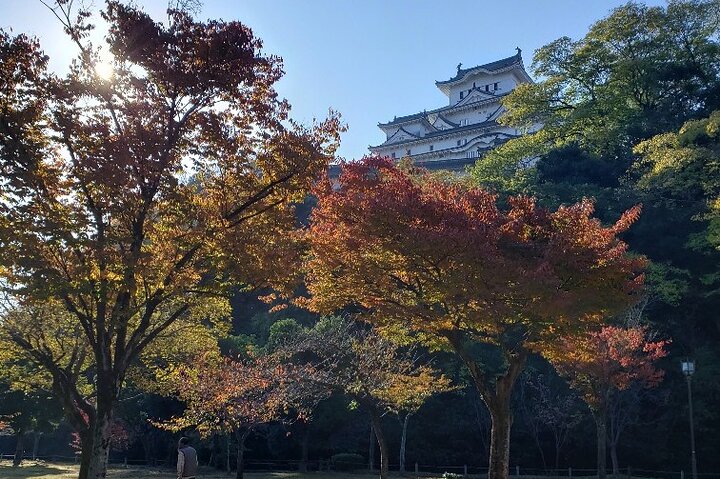 Visite privée d'histoire et de culture de 2,5 heures au château de Himeji