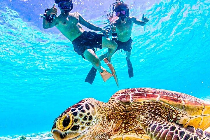 Okinawa Miyako havskildpadde Snorkeling Gratis Pick up and drop off