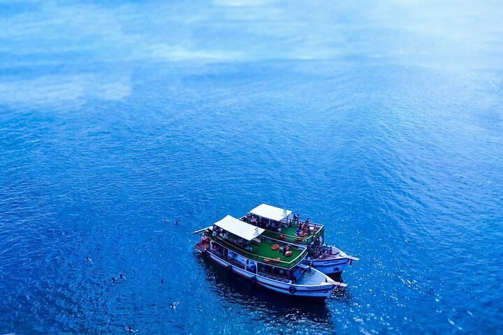 No Rush Morning & Afternoon 5 Stopp snorkeltur til Koh Tao